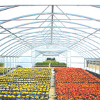 Solarig Classic 156 Woven Plastic Greenhouse Cover/Film