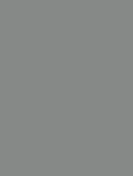 Standard Paint Options