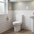 Rosmerry  Rimless Close Coupled Toilet With Cistern & Soft close Seat - White