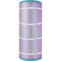 Pentair Clean & Clear 100, Predator 100 Platinum Purple