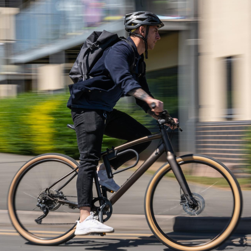 Hiplok Urban D Lock