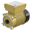 Hayward SPX2610Z1MTG TEFC Threaded Motor 1.5HP 115/230V