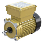 Hayward SPX2610Z1MTG TEFC Threaded Motor 1.5HP 115/230V