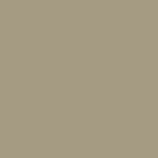 Standard Paint Options