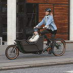 Humber Dynamic Cargo 2 Mid-Drive Electric Bike 250w