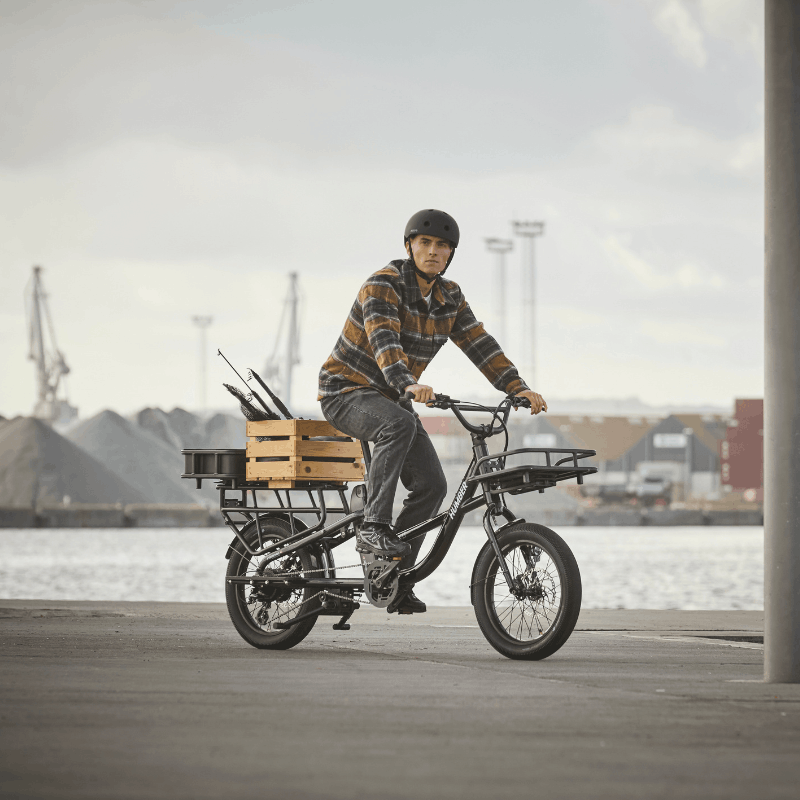 Humber Flex LT Cargo Electric Bike 250w
