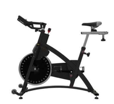 SCHWINN IC CLASSIC INDOOR CYCLE