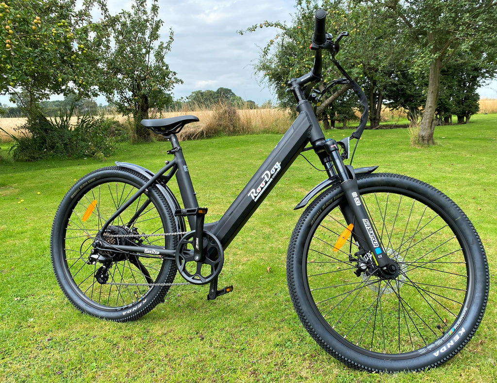 RooDog Avatar 2.0 Electric Bike
