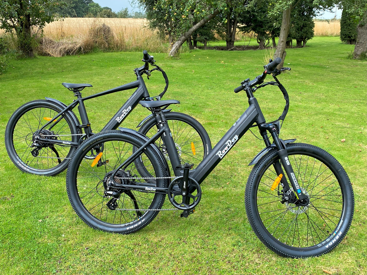 RooDog Avatar 2.0 Electric Bike