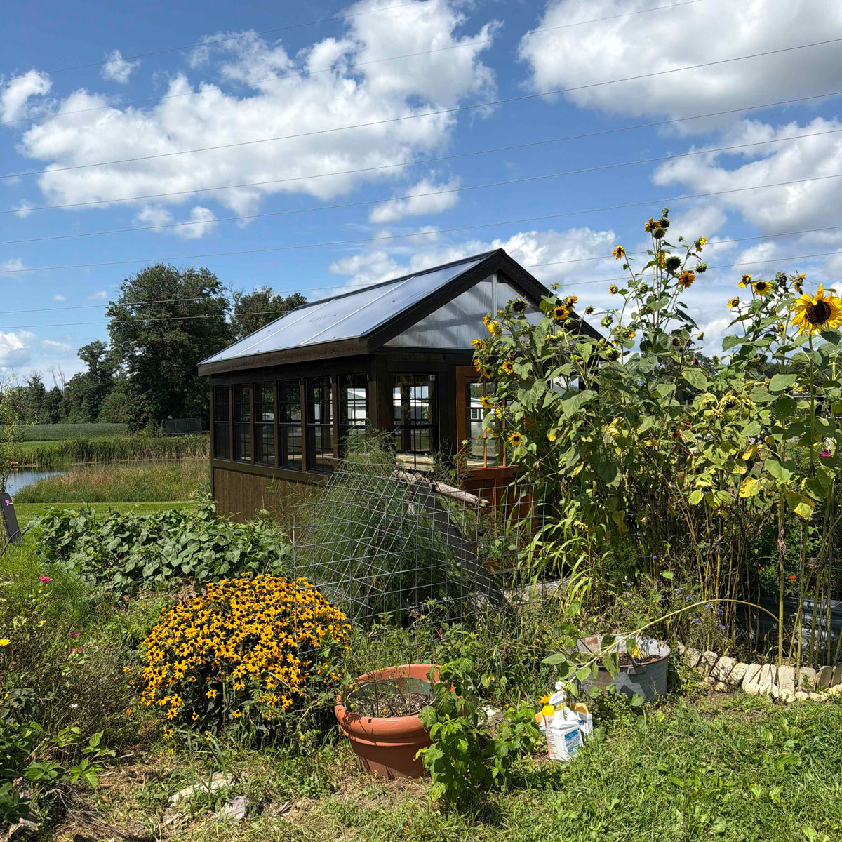 8×14 Greenhouse