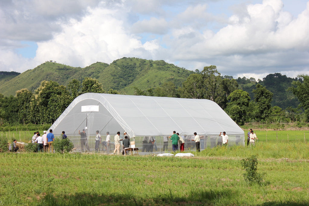 Sollux Polyethylene Plastic Greenhouse Cover / Film