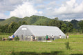 Sollux Polyethylene Plastic Greenhouse Cover / Film