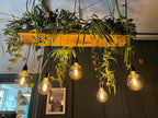 Wooden Beam Chandelier for Plants | Kitchen Island Lighting with Planter Shelf