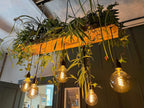 Wooden Beam Chandelier for Plants | Kitchen Island Lighting with Planter Shelf