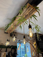 Wooden Beam Chandelier for Plants | Kitchen Island Lighting with Planter Shelf