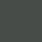 Standard Paint Options