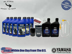 Yamaha Yamalube Standard Marine Gear Pump Service Kit for 2011-2024 F350C