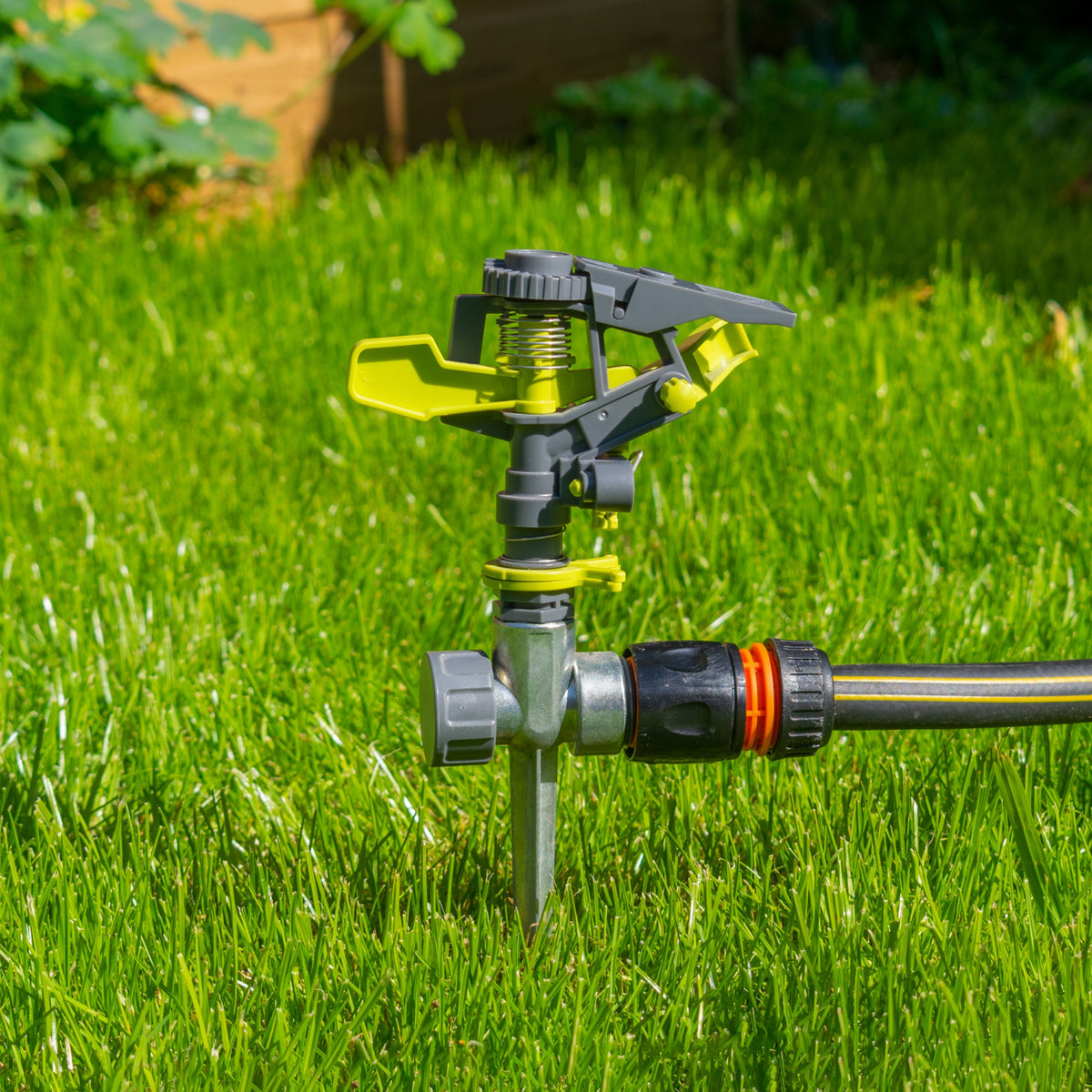 Pulsating Sprinkler on Spike Lime