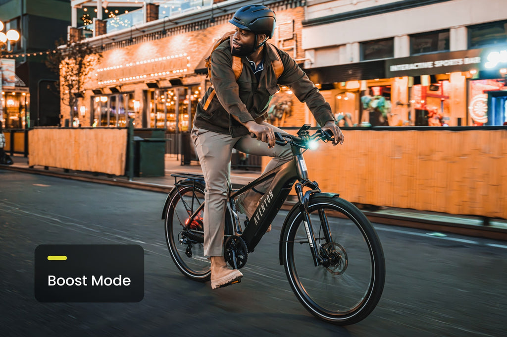 Level 3 Step-Through Ebike