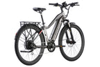 Level 2 Ebike