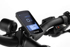 Level 2 Ebike