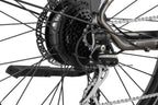Level 2 Ebike