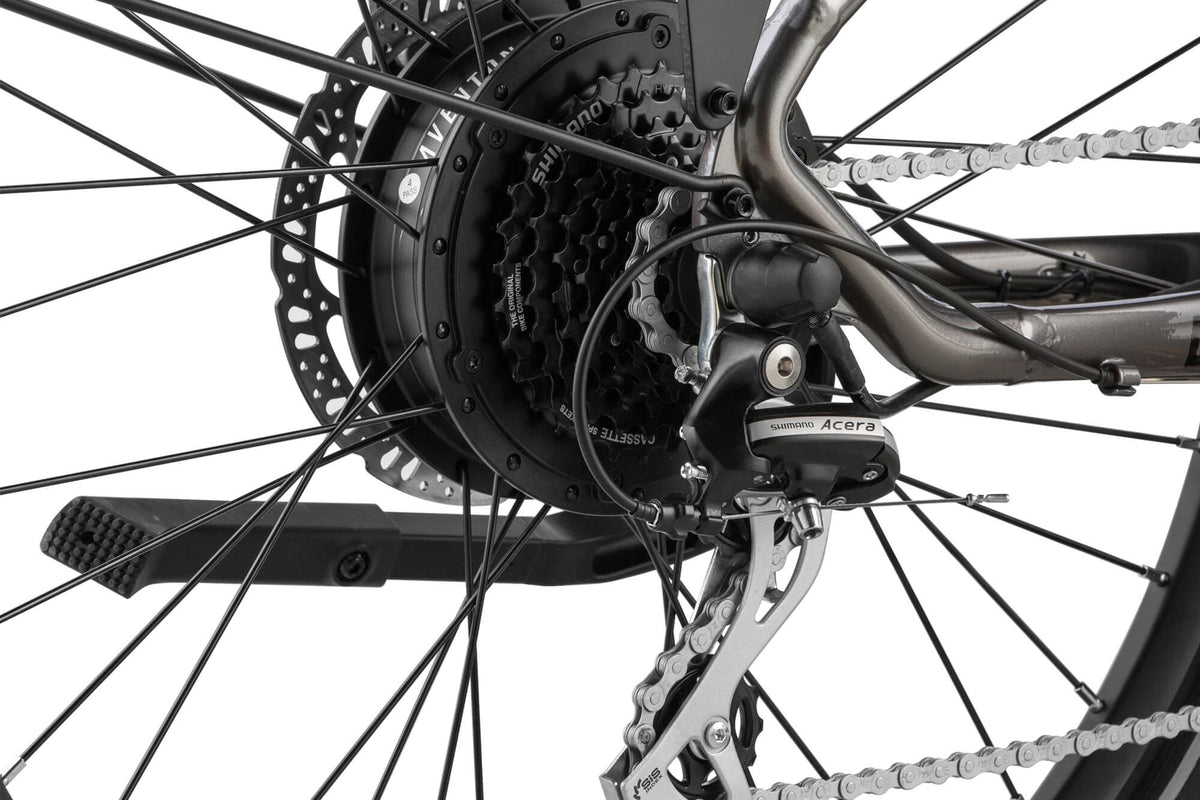 Level 2 Ebike