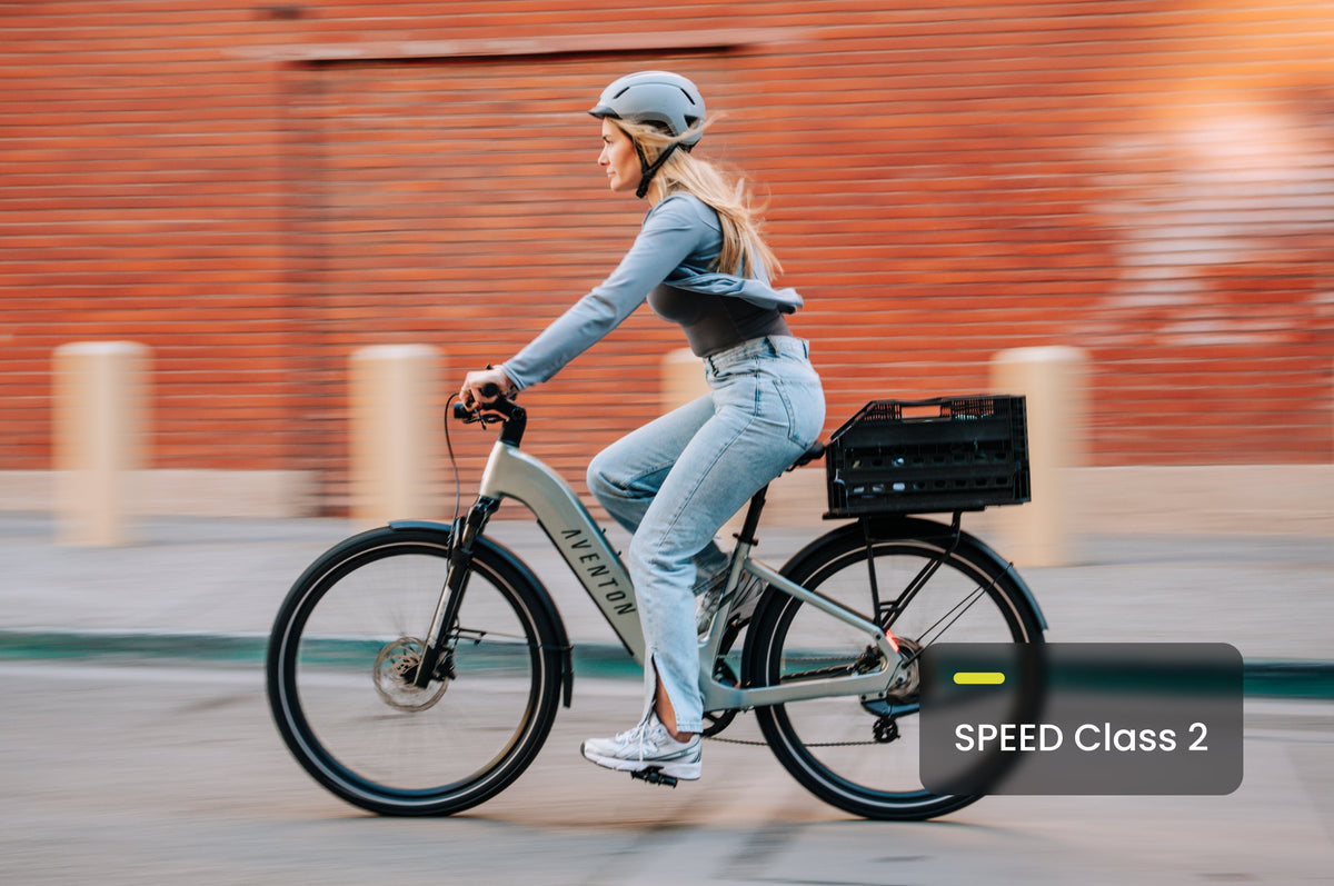 Level 3 Step-Through Ebike