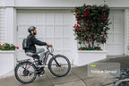 Level 2 Step-Through Ebike
