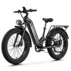 Aipas® M1 Max Hydraulic Brakes Ebike