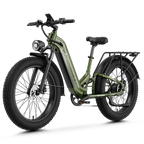Aipas® M1 Max Hydraulic Brakes Ebike