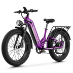 Aipas® M1 Max Hydraulic Brakes Ebike