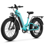 Aipas® M1 Pro Xterrain ST Ebike