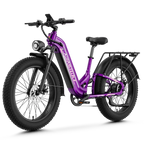 Aipas® M1 Pro Xterrain ST Ebike