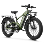 Aipas® M2 Max Hydraulic Brakes Ebike