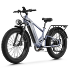 Aipas® M2 Max Hydraulic Brakes Ebike