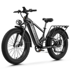 Aipas® M2 Max Hydraulic Brakes Ebike