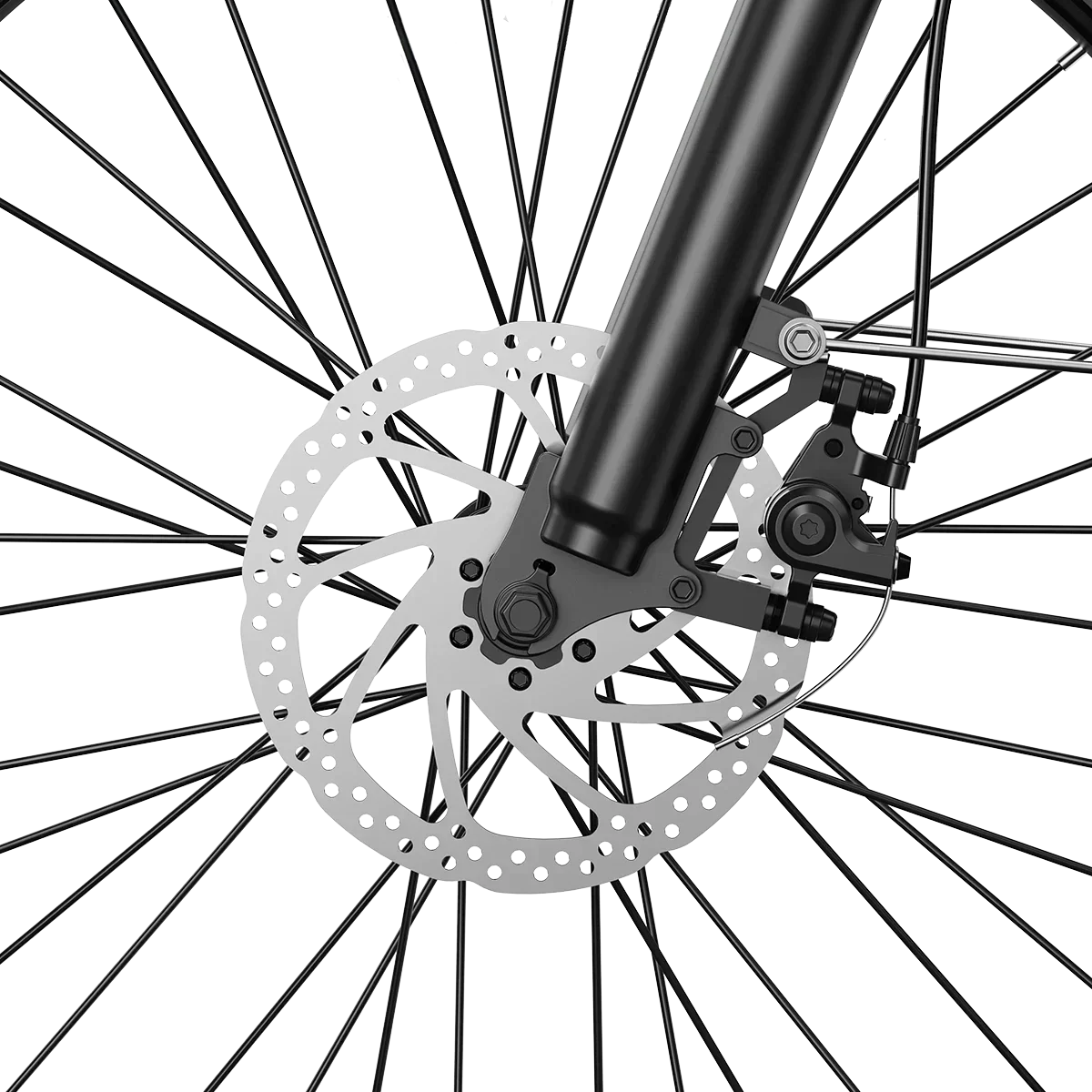 Aipas® C2 Max Xpress Ebike