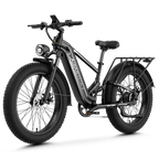 Aipas® M2 Pro Xterrain Ebike