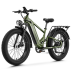 Aipas® M2 Pro Xterrain Ebike