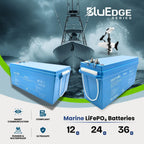 Amptron BluEdge 36V 100Ah Smart Lithium LiFePO4 Battery 3,840Wh