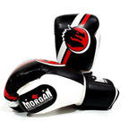 Morgan V2 Classic Boxing Gloves