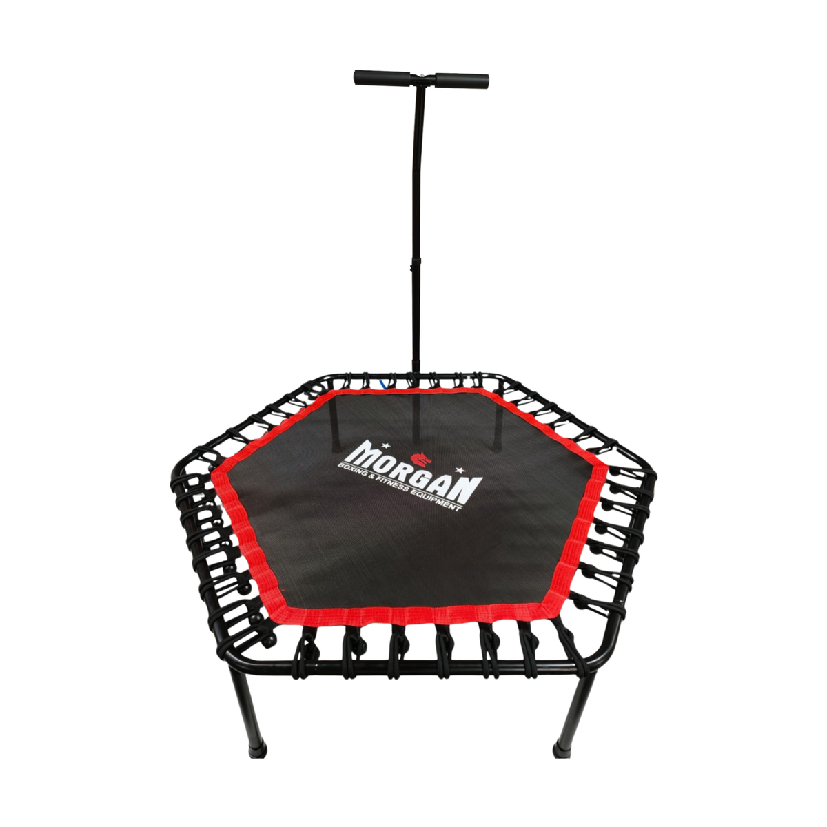 Morgan 48" Commercial Hex Rebounder