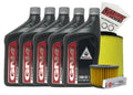 Honda GN4 Standard 10W-30 Tune-Up Kit for 2005-2014 TRX500