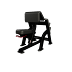 Nautilus Seated Preacher Curl