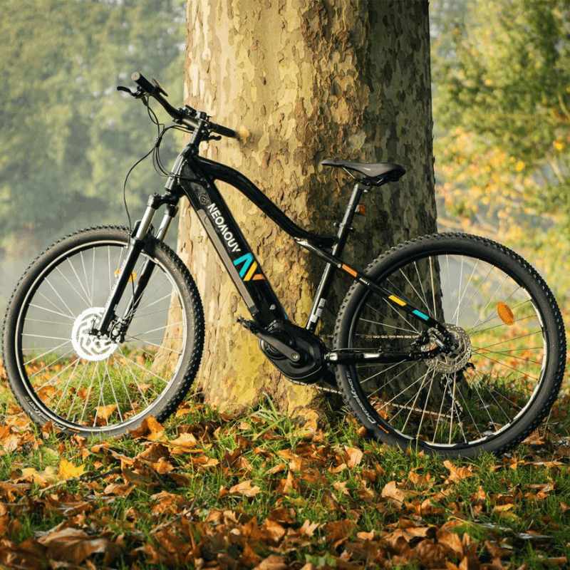 Neomouv Enara 2 Electric Mountain Bike eMTB