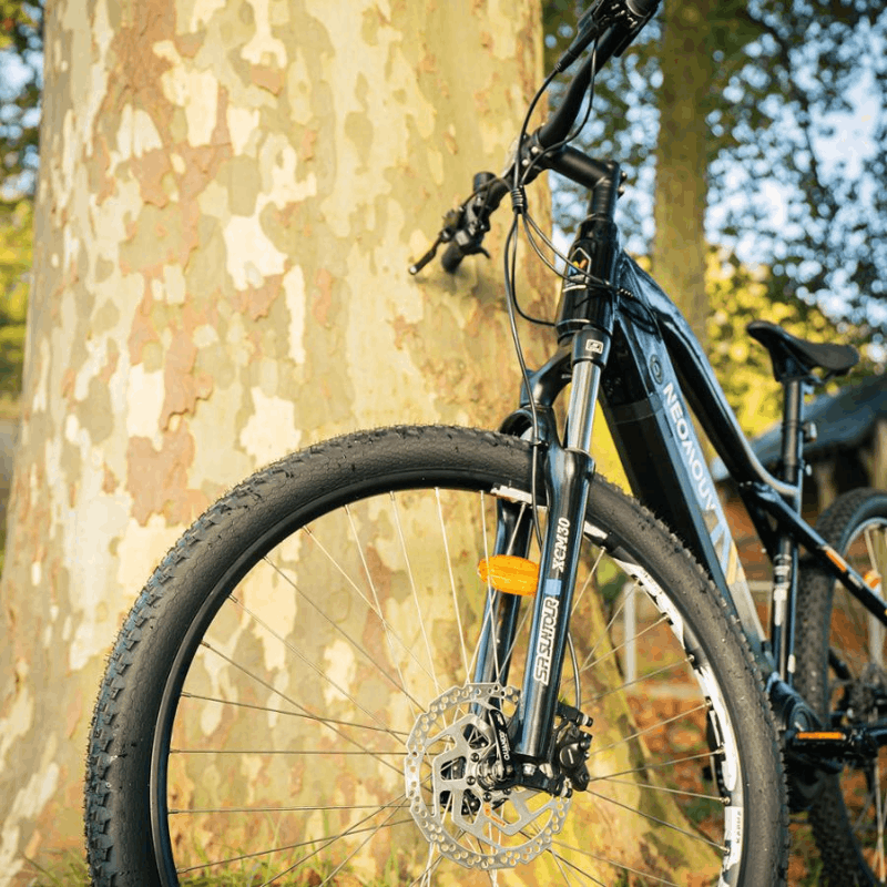 Neomouv Enara 2 Electric Mountain Bike eMTB