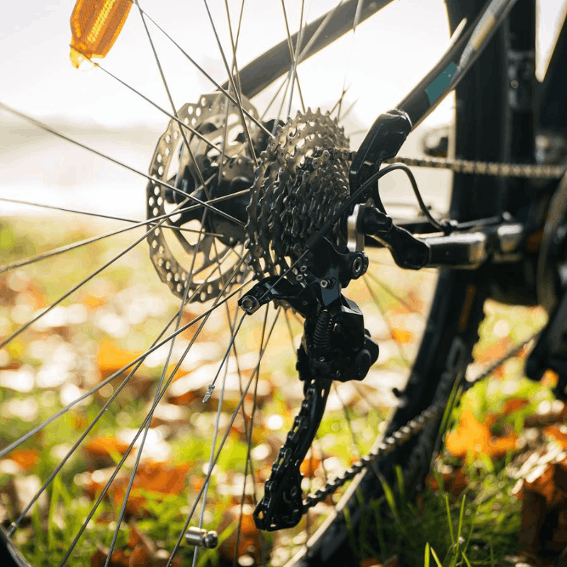 Neomouv Enara 2 Electric Mountain Bike eMTB