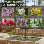 2-Pack 72" Metal Garden Trellis for Climbing Plants