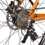Neomouv Open Ticket Hybrid Electric Bike